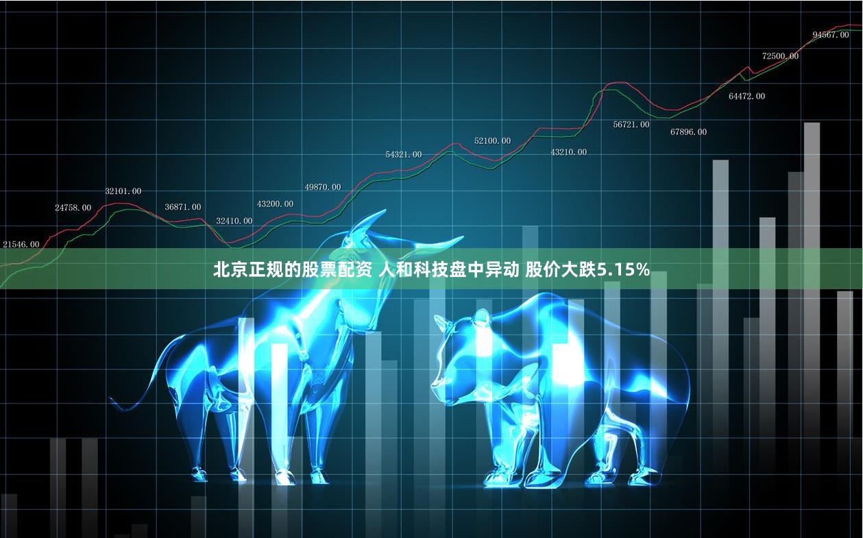 北京正规的股票配资 人和科技盘中异动 股价大跌5.15%