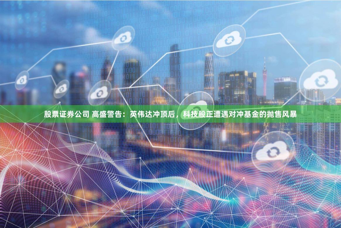 股票证券公司 高盛警告:英伟达冲顶后,科技股正遭遇对冲基金的抛售风暴