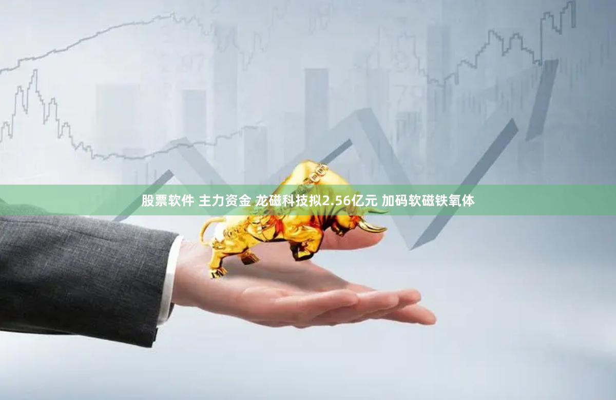股票软件 主力资金 龙磁科技拟2.56亿元 加码软磁铁氧体