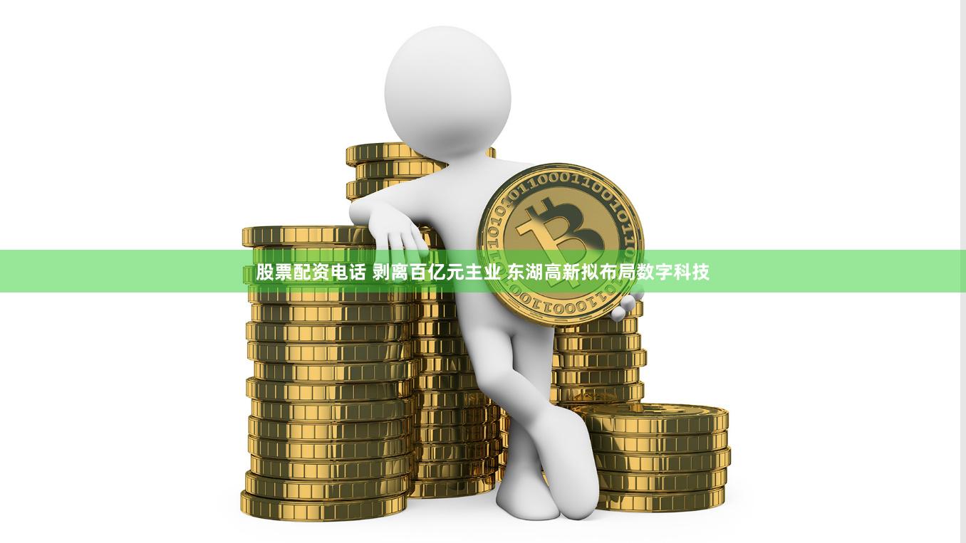 股票配资电话 剥离百亿元主业 东湖高新拟布局数字科技