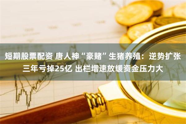 短期股票配资 唐人神“豪赌”生猪养殖：逆势扩张三年亏掉25亿 出栏增速放缓资金压力大