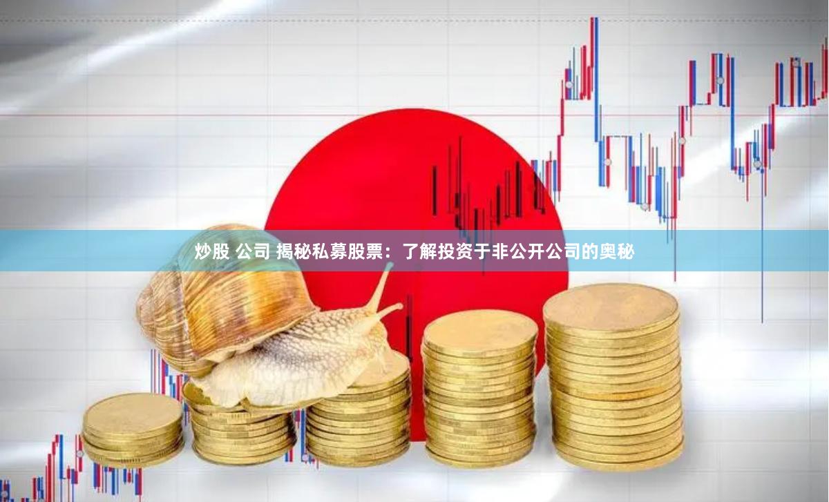 炒股 公司 揭秘私募股票：了解投资于非公开公司的奥秘