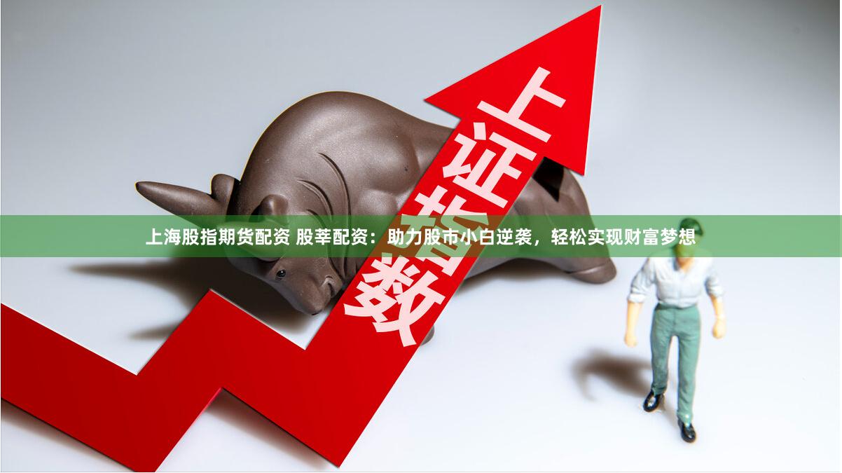 上海股指期货配资 股莘配资：助力股市小白逆袭，轻松实现财富梦想