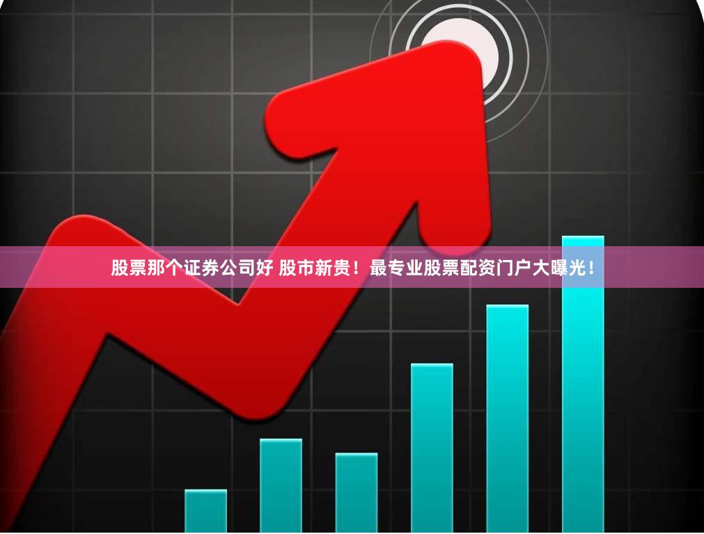 股票那个证券公司好 股市新贵！最专业股票配资门户大曝光！
