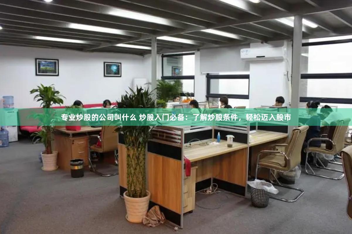 专业炒股的公司叫什么 炒股入门必备：了解炒股条件，轻松迈入股市