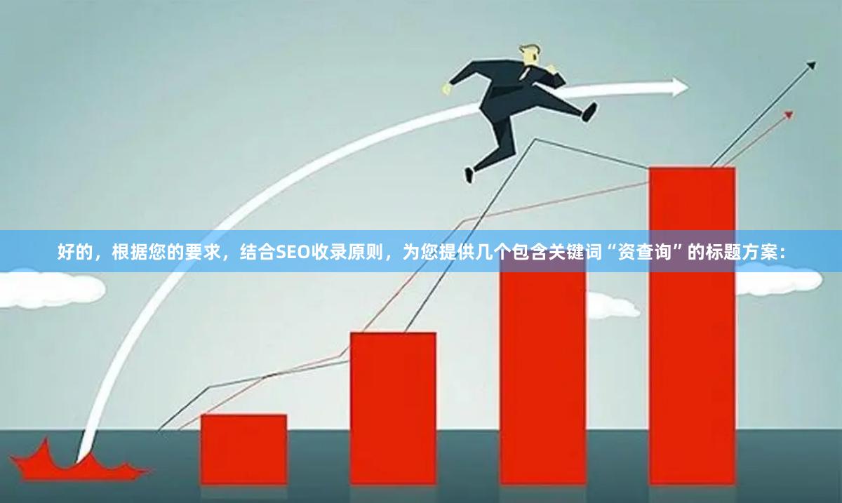 好的，根据您的要求，结合SEO收录原则，为您提供几个包含关键词“资查询”的标题方案：
