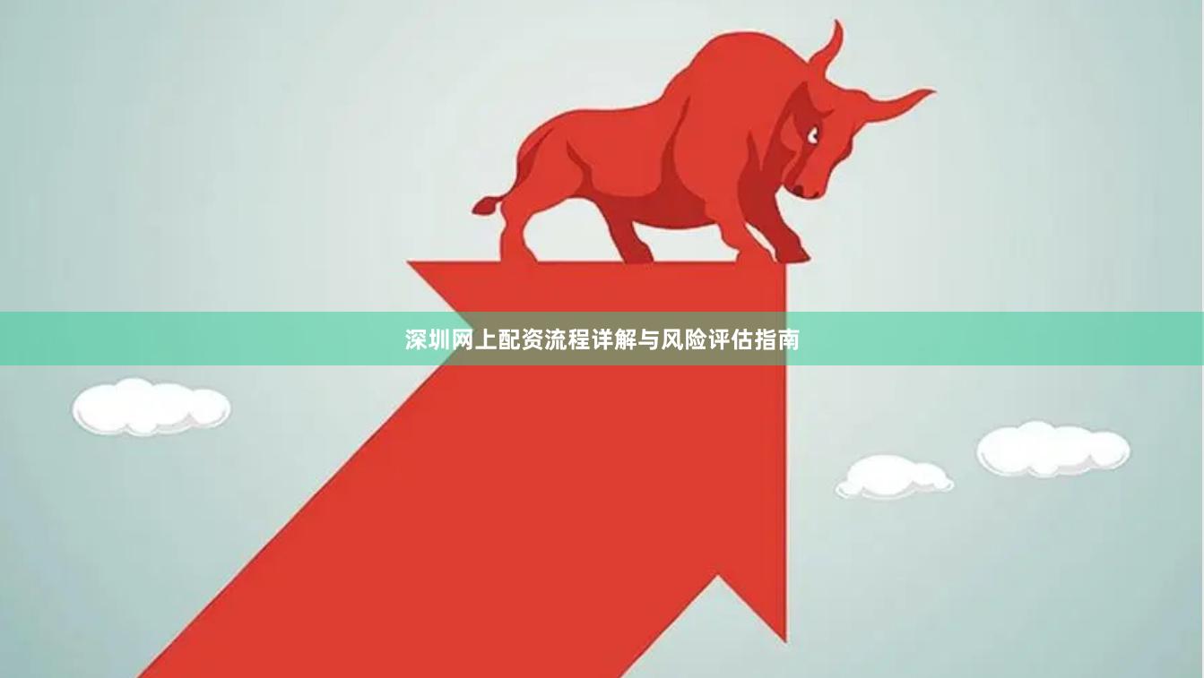 深圳网上配资流程详解与风险评估指南